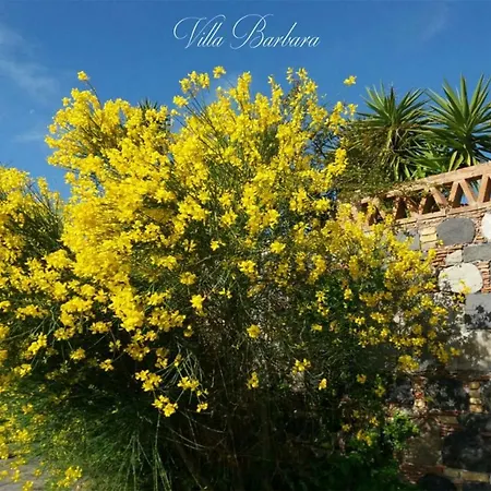 Barbara * Giardini-Naxos
