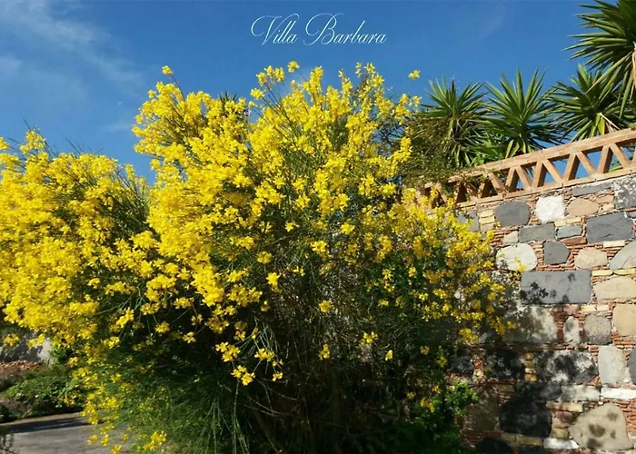 Barbara * Giardini Naxos